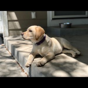 Meet your Posher, Leslie